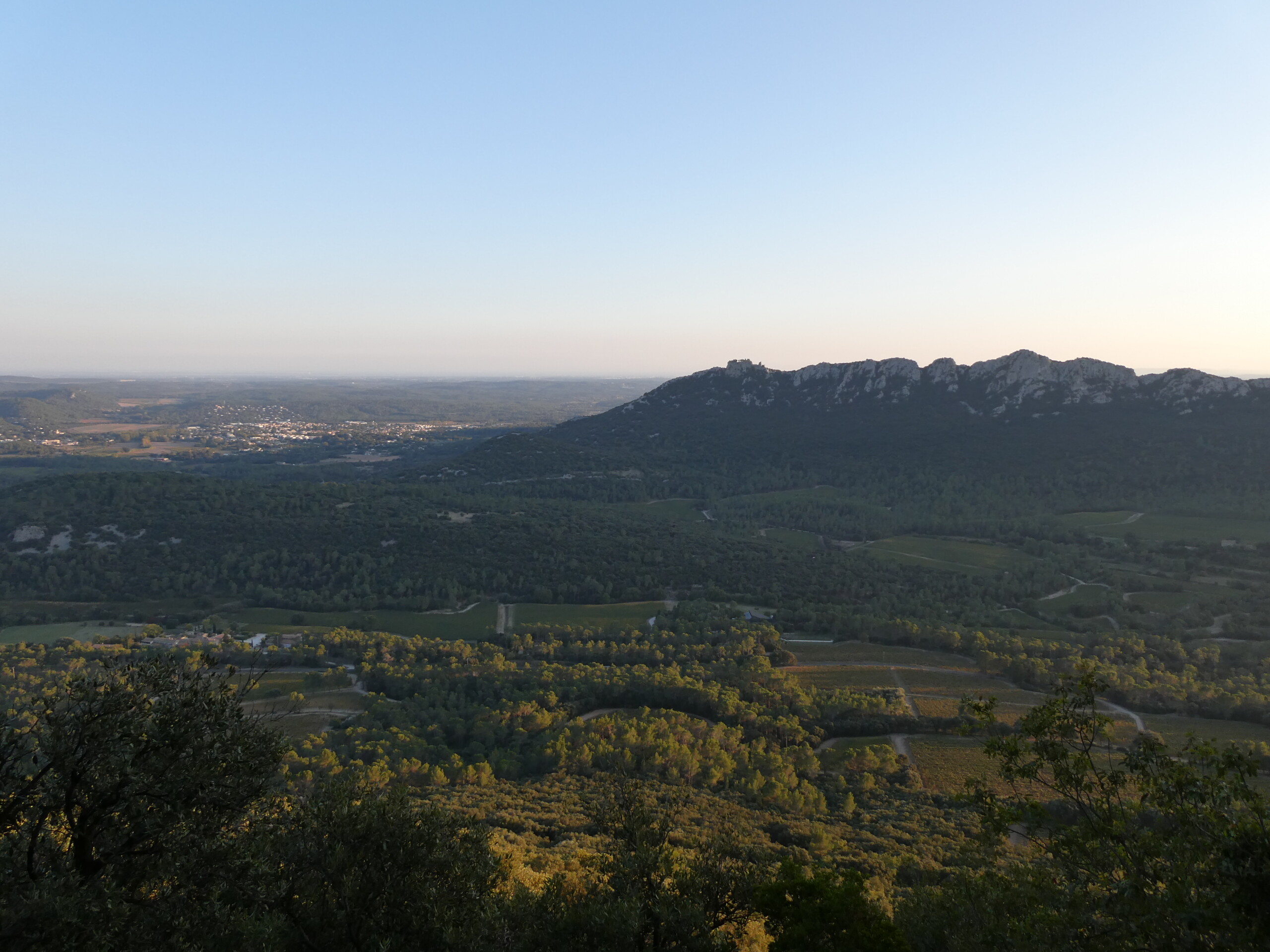 P1000075