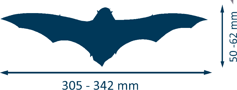 Silhouette_minioptère_de_schriebers